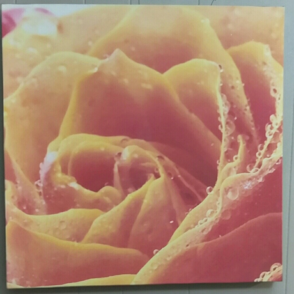 Wall Art Decor for home